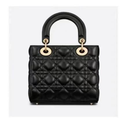 "Dior Lady Princess Small Calfskin Handbag - A Classic and Stylish Icon"