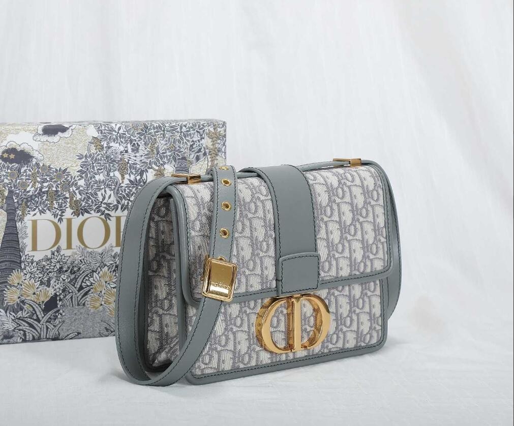 30 MONTAIGNE BAG Gray Dior Oblique Jacquard